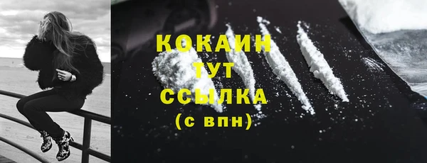 спайс Алексин