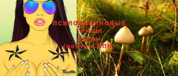 дмт Алзамай
