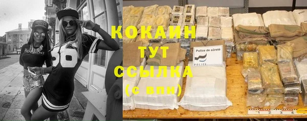 дмт Алзамай