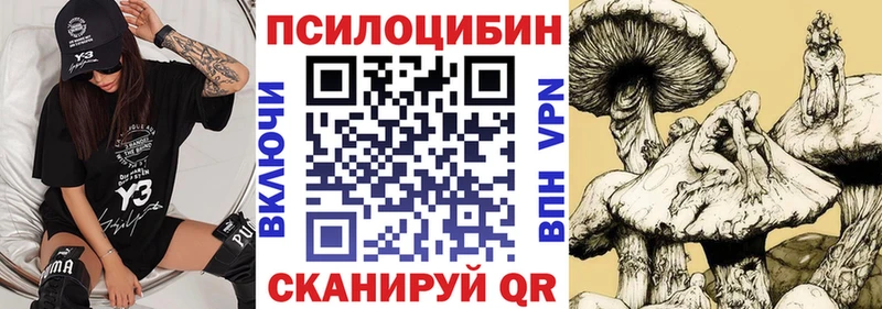 МЕГА маркетплейс Морозовск Галлюциногенные грибы GOLDEN TEACHER
