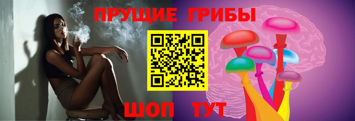 где найти   Псилоцибиновые грибы мицелий  Псилоцибиновые грибы мухоморы  Вход с VPN  Морозовск 